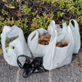 ユネスコジャパン会員登録のご案内