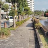 作業報告についてのお願い